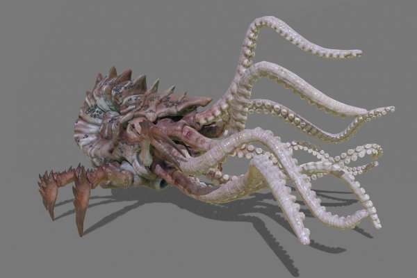 Кракен ссылка тор kraken014 com