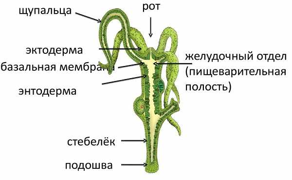 Не могу зайти на кракен